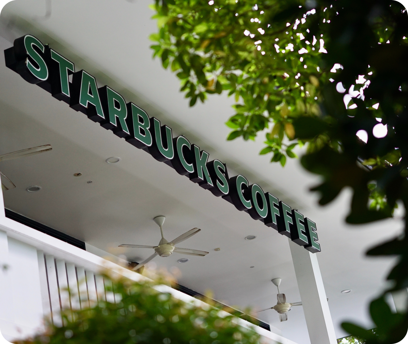 starbucks